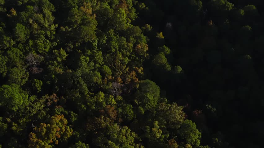 Dense Forest At Carpenter Hydroelectric Dam On The Ouachita River Near Hot Springs, Arkansas, United States. Aerial Rotate Shot