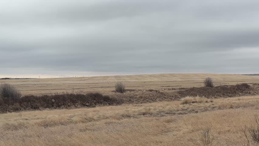Expansive farm fields in Alberta Canada under open sky, showcasing rural agriculture, natural landscape, and wide prairie environment.