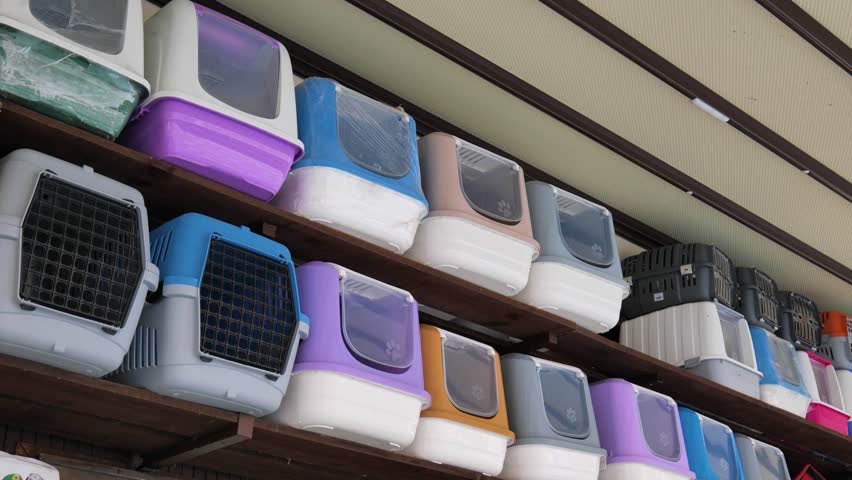 Empty Pet Carriers and Cages Ready for Sale in Pet Shop