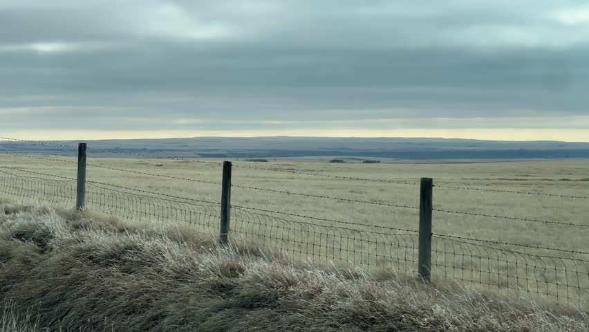 Expansive farm fields in Alberta Canada under open sky, showcasing rural agriculture, natural landscape, and wide prairie environment.