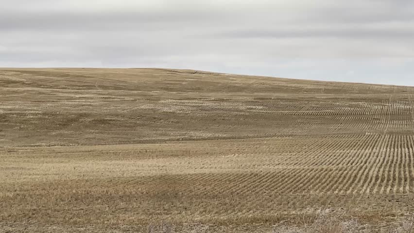 Expansive farm fields in Alberta Canada under open sky, showcasing rural agriculture, natural landscape, and wide prairie environment.