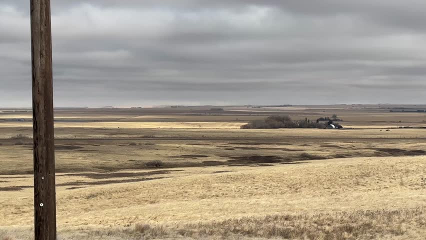 Expansive farm fields in Alberta Canada under open sky, showcasing rural agriculture, natural landscape, and wide prairie environment.