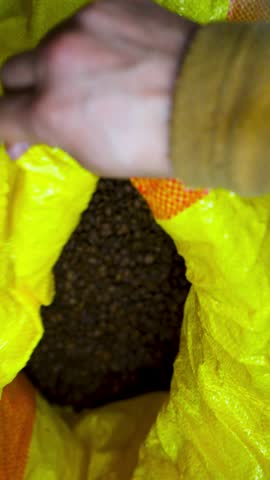 Man Opening Sack of Coffee Beans