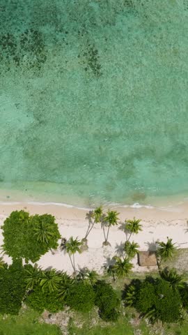 Coastline with white sandy beach and ocean waves. Malipano Island. Samal, Davao. Philippines. Vertical view.