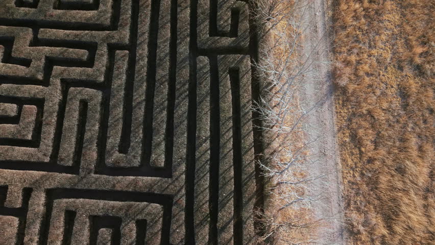 Geometric hedge maze pattern with narrow paths and dense trimmed hedges, drone top down tracking pan