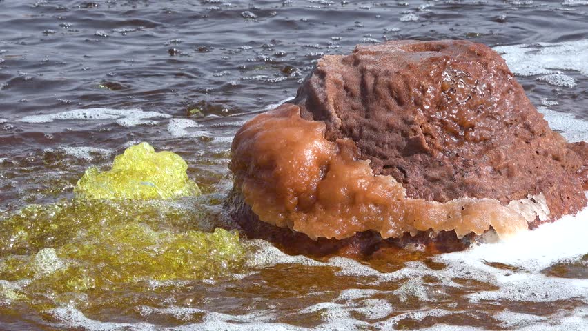 Geothermal activity can be seen in Yellowstone National Park. Steam rises from colorful hot springs and geothermal pools. This area shows the natural wonders of the park in detail.
