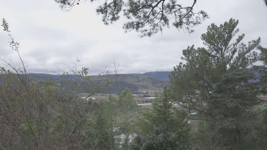 A serene view of a landscape featuring trees, mountains, and a cloudy sky