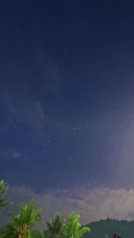 Night Sky Over Palm Trees