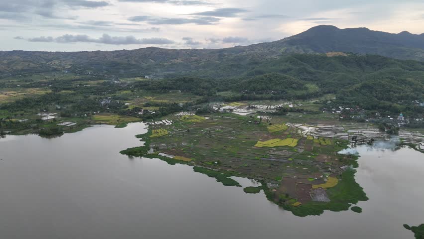 Aerial View of Lush Green Rice Paddies and Agricultural Fields by a Lake with Distant Mountains at Cloudy Dusk