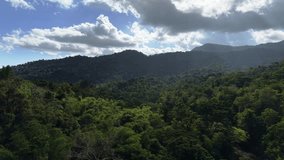 An aerial drone shot captured over the Irawan watershed area in Puerto Princesa, Palawan, Philippines, showcasing the vast expanse of tropical rainforest that blankets this protected region. The camera hovers above the dense jungle canopy and executes a slow, sweeping pan that reveals layer upon layer of lush green vegetation stretching unbroken toward a distant mountain range. The foreground and mid-ground are filled entirely with the textured surface of the rainforest canopy, where dipterocarp trees and tropical hardwoods form a continuous green carpet. Individual tree crowns are visible, their rounded forms creating a natural mosaic of varying green tones from emerald to deep forest green. Behind this sea of vegetation, the mountains of Palawan's interior spine rise dramatically, their slopes cloaked in the same dense jungle. Large cumulus clouds gather around the peaks, their white masses contrasting sharply against the blue sky. Sunlight from the right side of the frame backlit the mountain ridgeline, creating luminous edges on the clouds and casting subtle shadows across the canopy below. The slow pan gradually shifts the composition, bringing more of the mountain range into view while maintaining the overwhelming sense of wilderness. This is one of the last great tracts of old-growth lowland tropical forest in the Philippines, part of the Irawan Watershed Forest Reserve that supplies fresh water to Puerto Princesa. - Powered by Shutterstock - Get 15% off with code: PIKWIZARD15