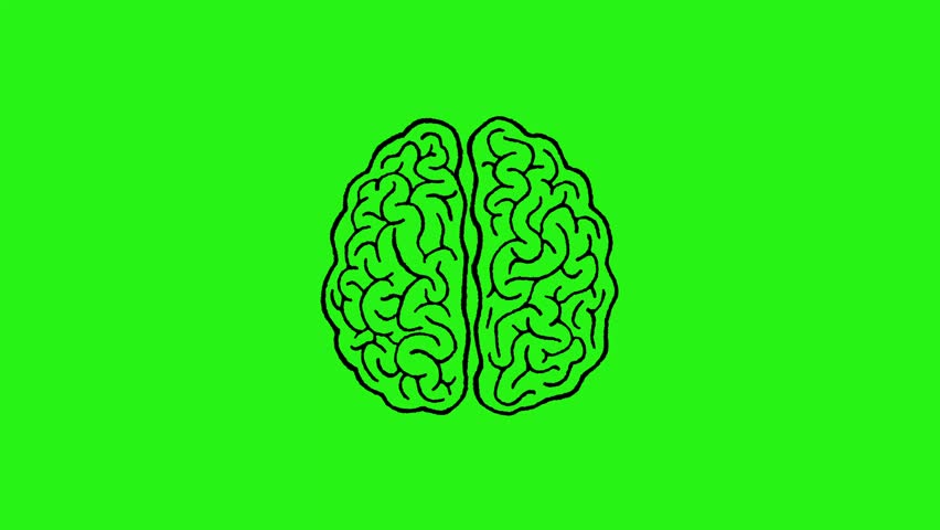 Human brain hand drawn icon animated on green screen background for overlay and motion graphics use