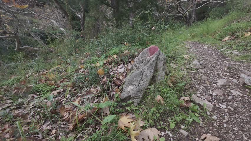 Steep forest trail with hiking mark on rock in wild landscape