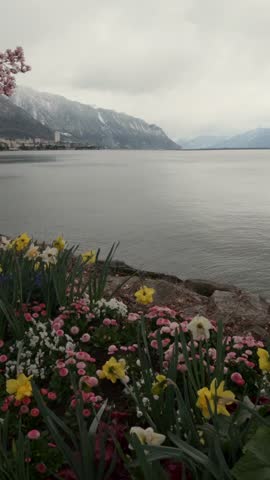 Vertical scenic view of Lake Geneva framed by colorful spring flowers and trees with Alpine mountains in the background near Montreux, Switzerland. Calm water, soft natural light and balanced composition make it ideal for social media, mobile content, travel and lifestyle visuals.