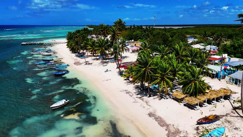Beautiful beach with crystal clear waters located in the town of "Mano Juan" on Saona Island, Dominican Republic.