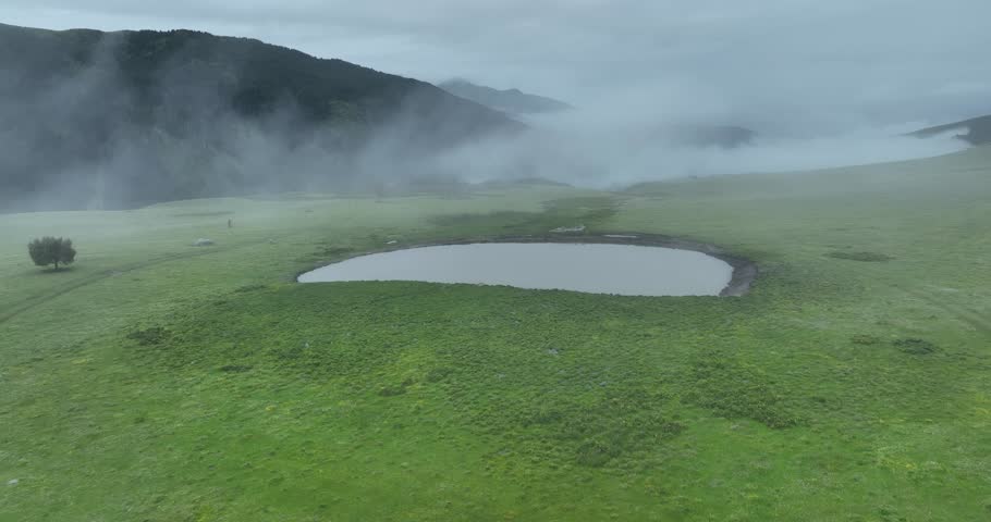 Aerial view of beautiful high altitude forest and flowering grassland mountain landscape
