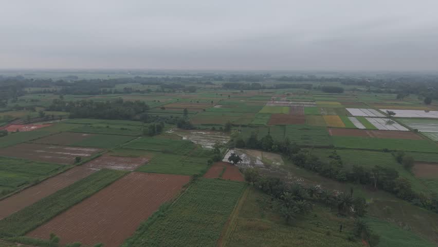 Aerial view of a rural landscape with fields and trees