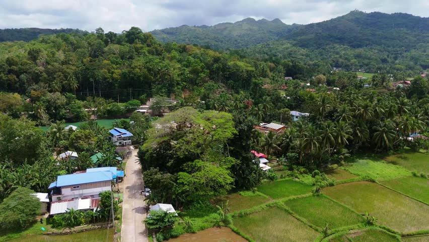 Aerial view of the lush Loboc River valley in Bohol, Philippines, showing rural houses along the riverbank surrounded by dense tropical forest and hills. Natural Visayan landscape