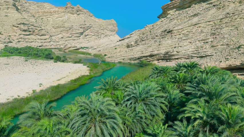Aerial view of a dense green palm tree oasis and turquoise river running through a deep rocky canyon in Saudi Arabia.