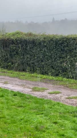 Heavy rain falls over a lush green hedge and a muddy English country lane. Dense mist blankets the distant trees under a dark, soaking, overcast sky.
