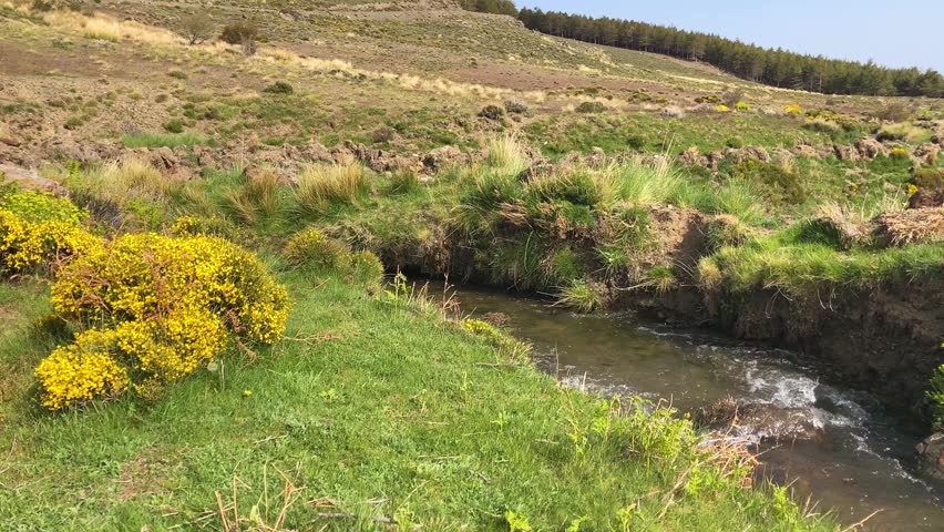 Water stream flowing from melting snow in the spring, Sierra Nevada range, Andalusia, Spain
