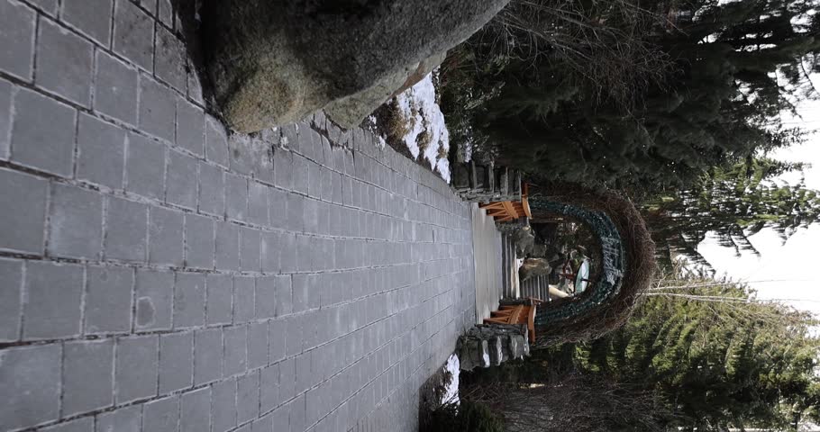 Paved forest path lined with large trees on both sides creating natural canopy corridor through woodland. Tree-lined walking trail winding through peaceful forest with tall tree trunks forming scenic outdoor pathway. Tranquil nature trail perfect for hiking, walking, and outdoor recreation in serene woodland environment. Ideal for nature and outdoor themes, hiking walking and recreation content, forest landscapes, peaceful nature scenes, environmental concepts, outdoor exercise, wellness and mindfulness, eco-tourism, and natural beauty imagery.