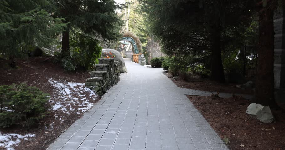 Paved forest path lined with large trees on both sides creating natural canopy corridor through woodland. Tree-lined walking trail winding through peaceful forest with tall tree trunks forming scenic outdoor pathway. Tranquil nature trail perfect for hiking, walking, and outdoor recreation in serene woodland environment. Ideal for nature and outdoor themes, hiking walking and recreation content, forest landscapes, peaceful nature scenes, environmental concepts, outdoor exercise, wellness and mindfulness, eco-tourism, and natural beauty imagery.