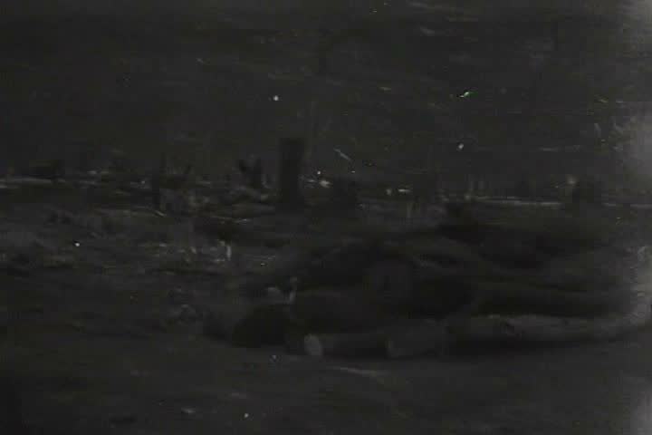 1930s - The rainforest in Brazil is logged in 1930.