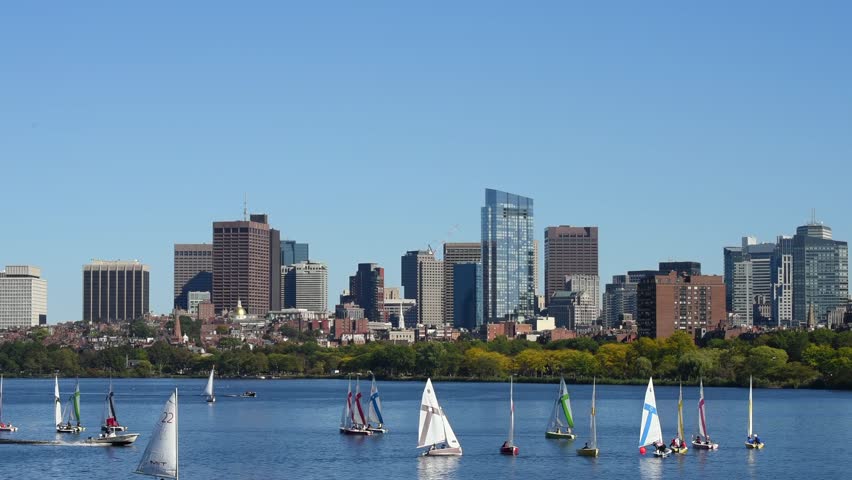 Sailboats glide across charles river with boston skyline in background during beautiful sunny day.