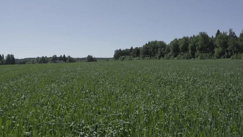 Low Altitude Drone Flight over Field