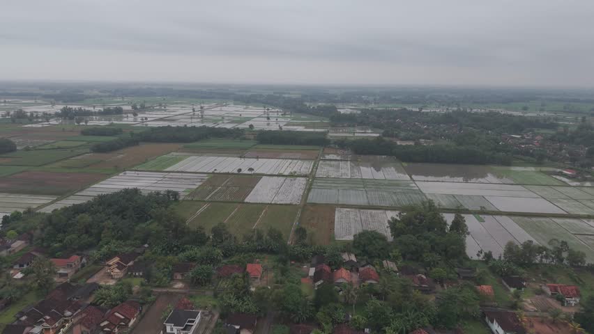 Aerial view of farm land patches and trees