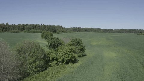 Drone Orbiting Low over Green Field