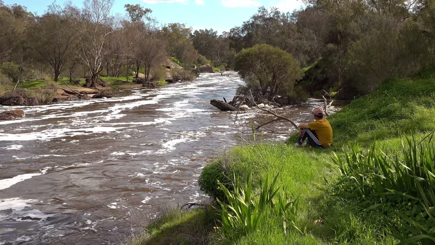 Young Boy Sitting on a Grassy Riverbank Watching Rushing White Water Rapids in a Natural Forest Setting