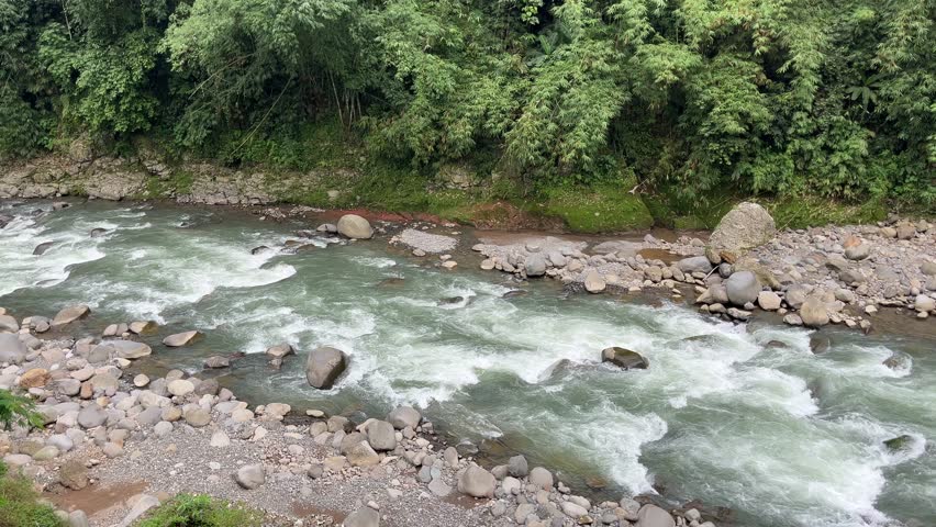 Fast-flowing river with clear water and rocks surrounded by lush green forest. Natural landscape scene representing wilderness, freshness, and environmental beauty.