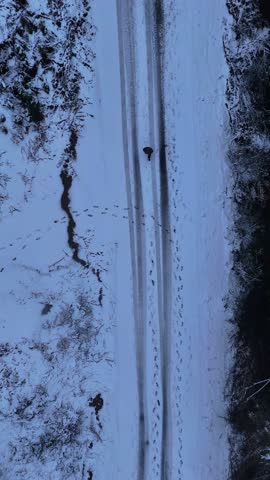 Top-down aerial view of a lonely person walking on a snowy road through a forest. Drone following a man walking in deep snow, winter landscape in Kastamonu, Turkey.