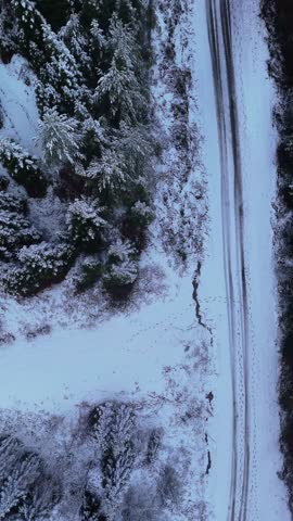 Top-down aerial view of the Evrenye-Devrekani road winding through a snow-covered forest. Drone ascending vertically, showing tire tracks on a snowy road in Kastamonu, Turkey.