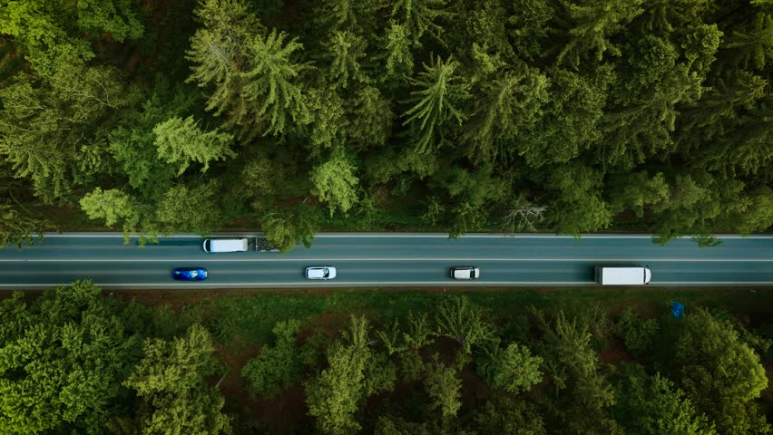 Machine driving through forest highway. Blue coupe moving under clear sky top view. Car traveling along road surrounded by tall trees. Vehicle cruising on quiet countryside route