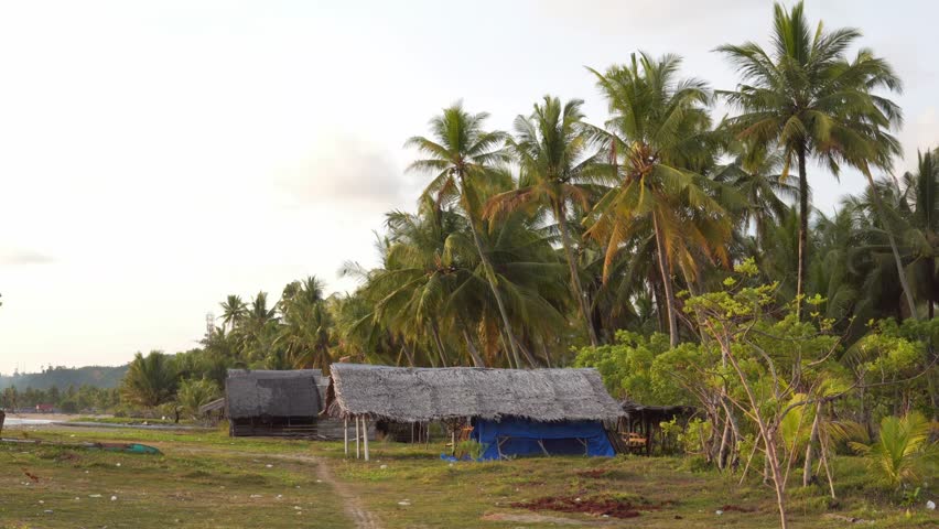 Traditional Hut Under Coconut Trees in West Sumatra Village, Indonesia