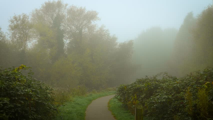 Foggy morning covering winding path through autumn forest. Moving fog creating illusion of hidden dream world. Misty dawn veiling curving trail through fall woodland
