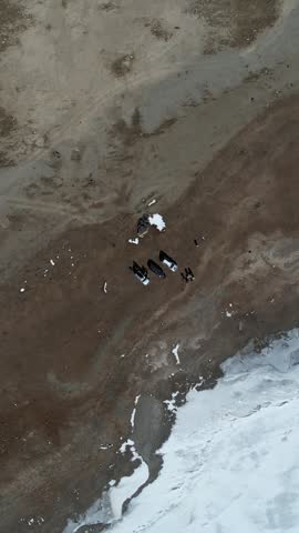 Cars Start Assembling. People Gather On Muddy Terrain. Vehicles Assemble As Crowds Gather On Snow And Mud Surfaces. Group Prepares Equipment For Expedition In Cold Snowy And Muddy Environment