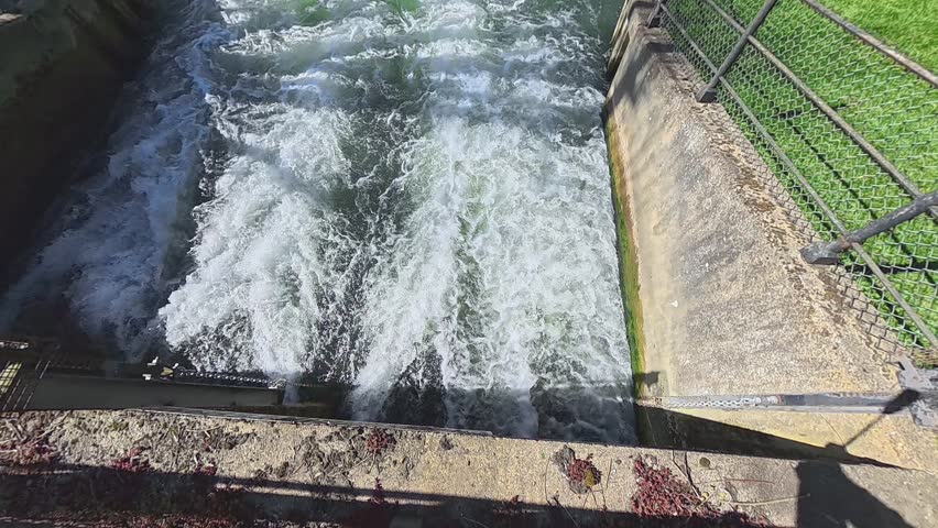 A fast-flowing river winds its way through a lush park in Cambridge on a bright summer day. Tilt and reveal shot