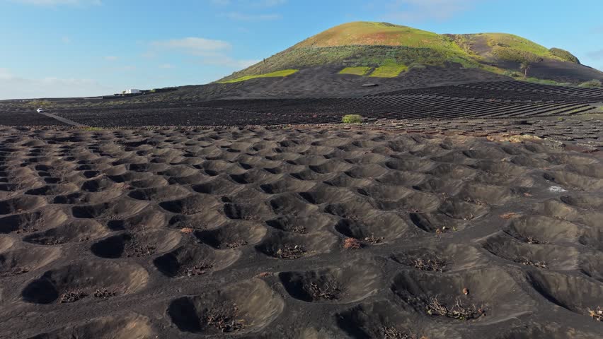 Aerial view of unique volcanic vineyards on El Hierro island in Spain, stone walls protect the vines from the wind. Volcanic soil agriculture on the island of El Hierro in the Canary Islands, Spain