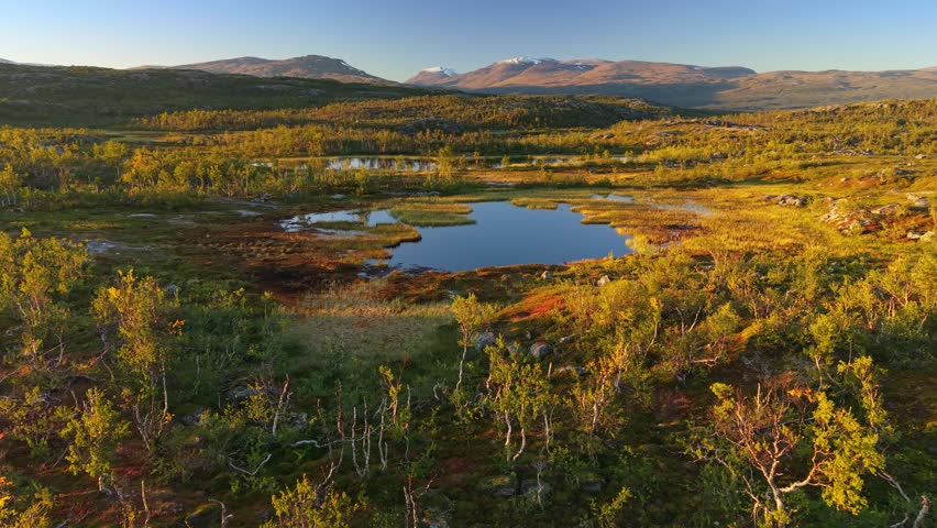 Aerial view of Abisko National Park, Sweden during autumn, golden sunlight illuminates the lakes. Scenic landscape of Abisko National Park in Swedish Lapland wilderness with wetlands and distant peaks
