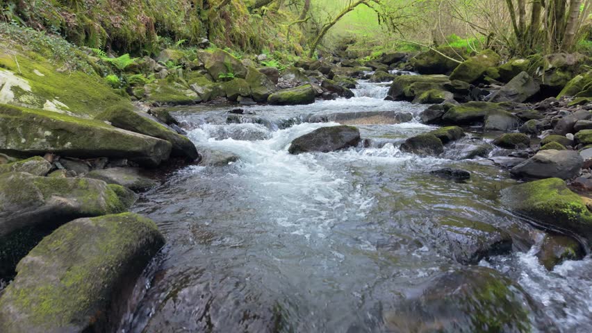 Woodland River Surrounded By Moss-covered Rocks In Rio San Paio In A Coruña, Galicia, Spain. Aerial Shot