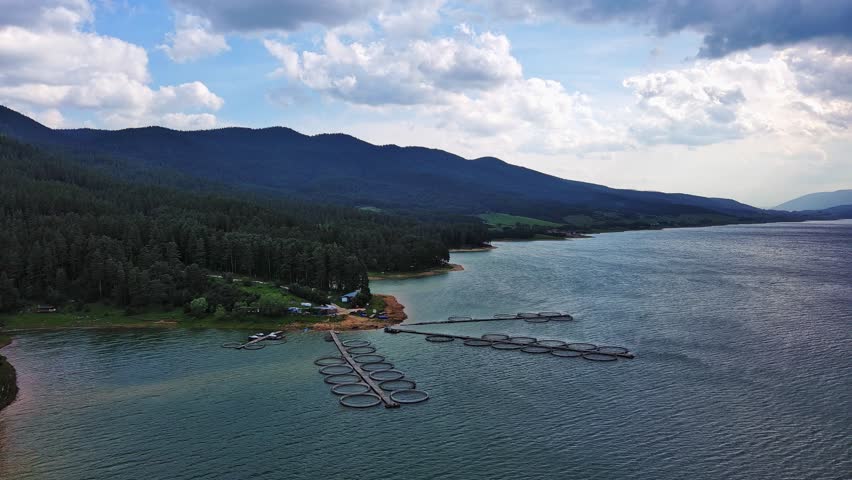 Lake with clear water and stone shore in spruce forest with fir trees against a daytime sky