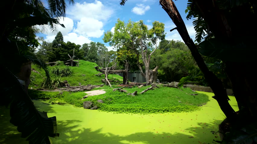 Zoo Island Across Green Water