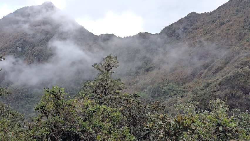 Inca Trail, Peru - 26 June 2024. Low clouds move through steep mountain slopes with dense shrubs and small trees in foreground and rugged terrain beyond.
