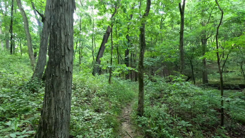 POV Hiking on a Narrow Forest Trail at Route 66 Hike and Bike Trail. A slow-motion POV shot of a hiker
