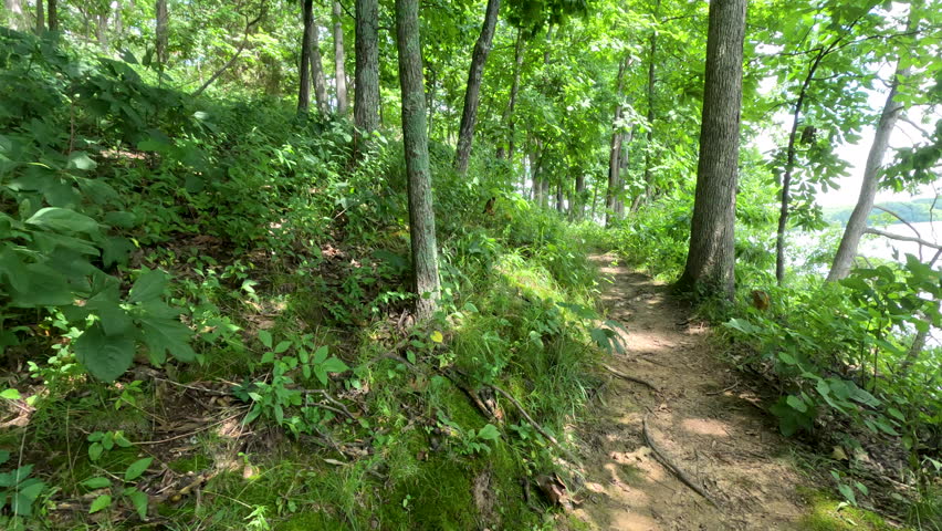 Hiking Along the Shoreline of Lake Lou Yaeger on Route 66 Trail. A slow-motion POV shot of the Route 66 Hike and Bike Trail in Litchfield, Illinois. The narrow dirt path winds through a green forest with the calm waters of Lake Lou Yaeger visible through the trees.