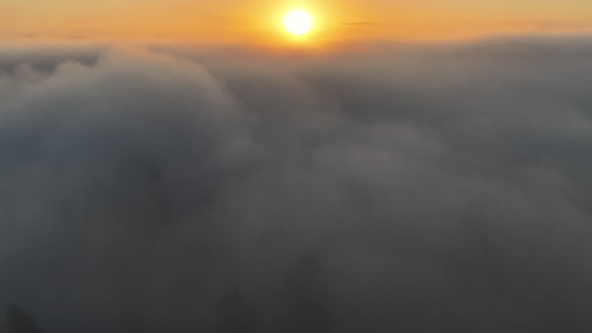 Fog drifts over a forest of primarily evergreen fir trees in Oregon, just south of Portland. The entire Pacific Northwest region is known for its magnificent forests and mountainous landscapes.