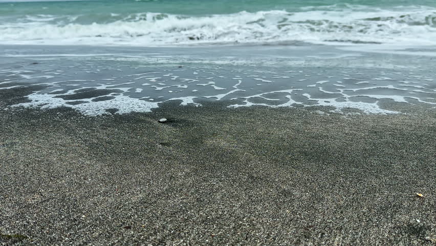 Waves break on a sandy beach as they roll in from the ocean during the day. The shoreline shows wet sand and scattered shells brought by the tide.